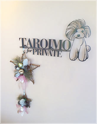 横浜のトリミングサロン TAROIMO for PRIVATE 店内画像1