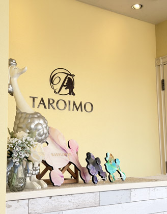 横浜のトリミングサロン TAROIMO 店内画像1