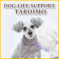 DOG LIFE SUPPORT TAROIMO